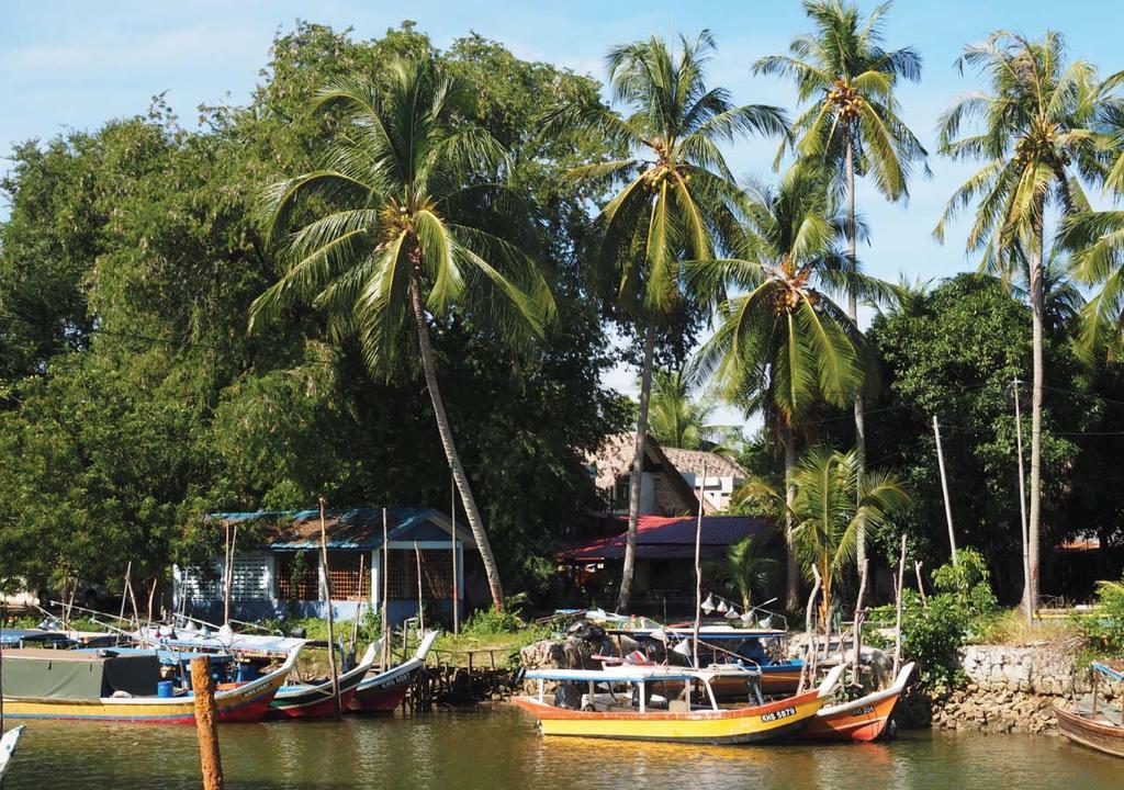 Panji Panji Tropical Wooden Home ปันไตเจอนัง ภายนอก รูปภาพ