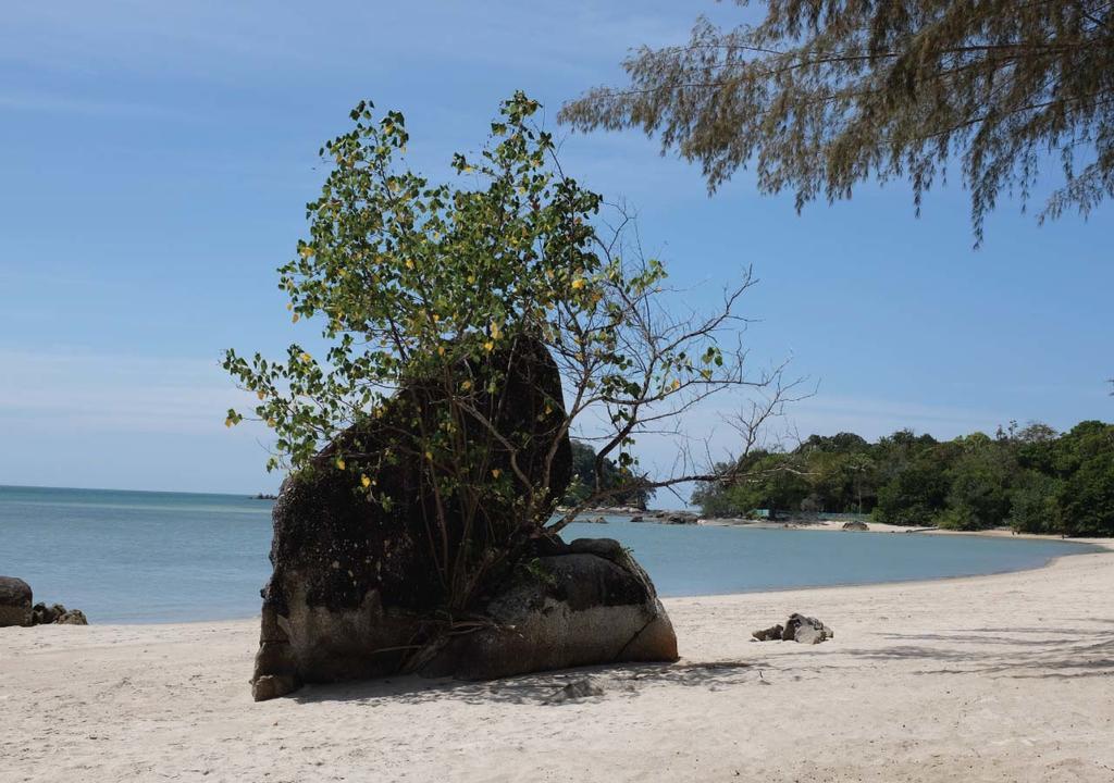 Panji Panji Tropical Wooden Home ปันไตเจอนัง ภายนอก รูปภาพ