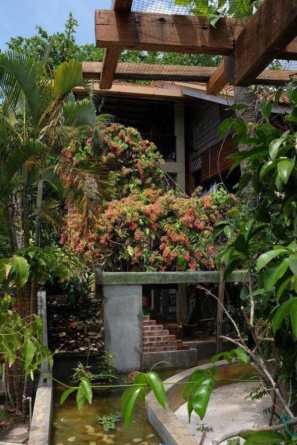 Panji Panji Tropical Wooden Home ปันไตเจอนัง ภายนอก รูปภาพ