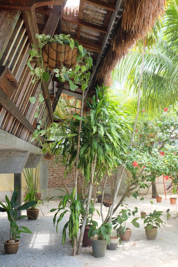 Panji Panji Tropical Wooden Home ปันไตเจอนัง ภายนอก รูปภาพ